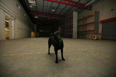 warehouse_polly