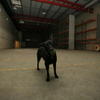 warehouse_polly