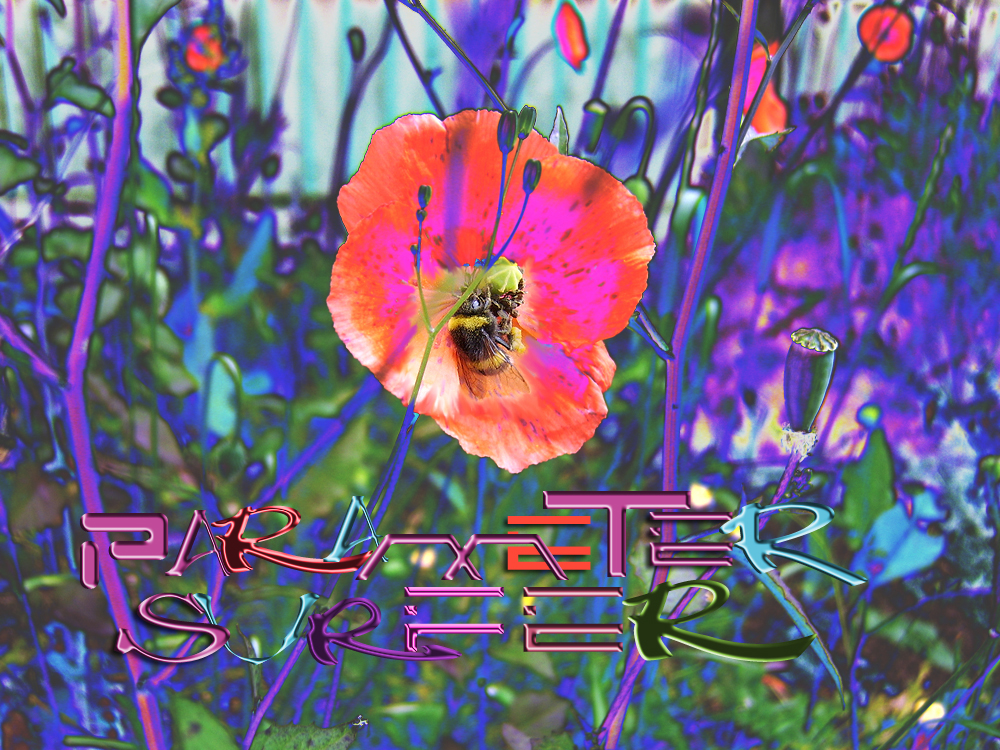 Earth matters bumble poppy SURFER 001