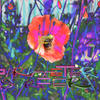 Earth matters bumble poppy SURFER 001