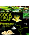 Coca-Leaf-Art-0001