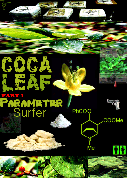 Coca-Leaf-Art-0001